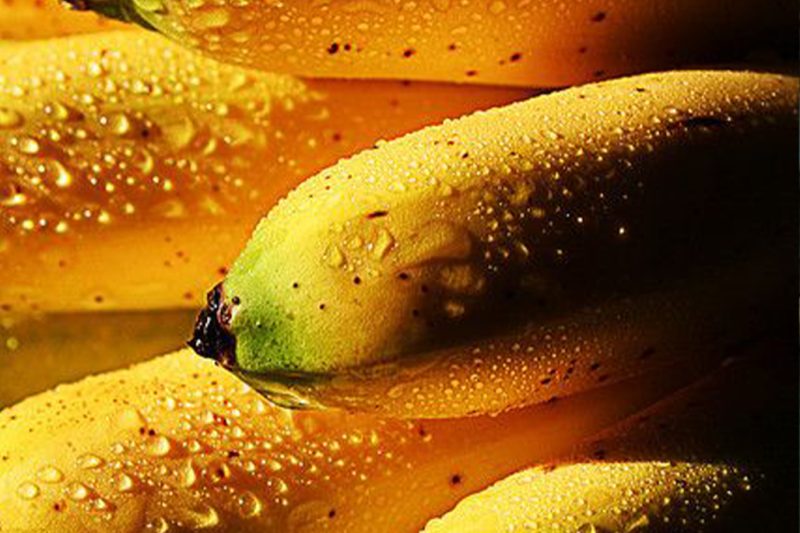 cabafruit bananas de exportación guayaquil